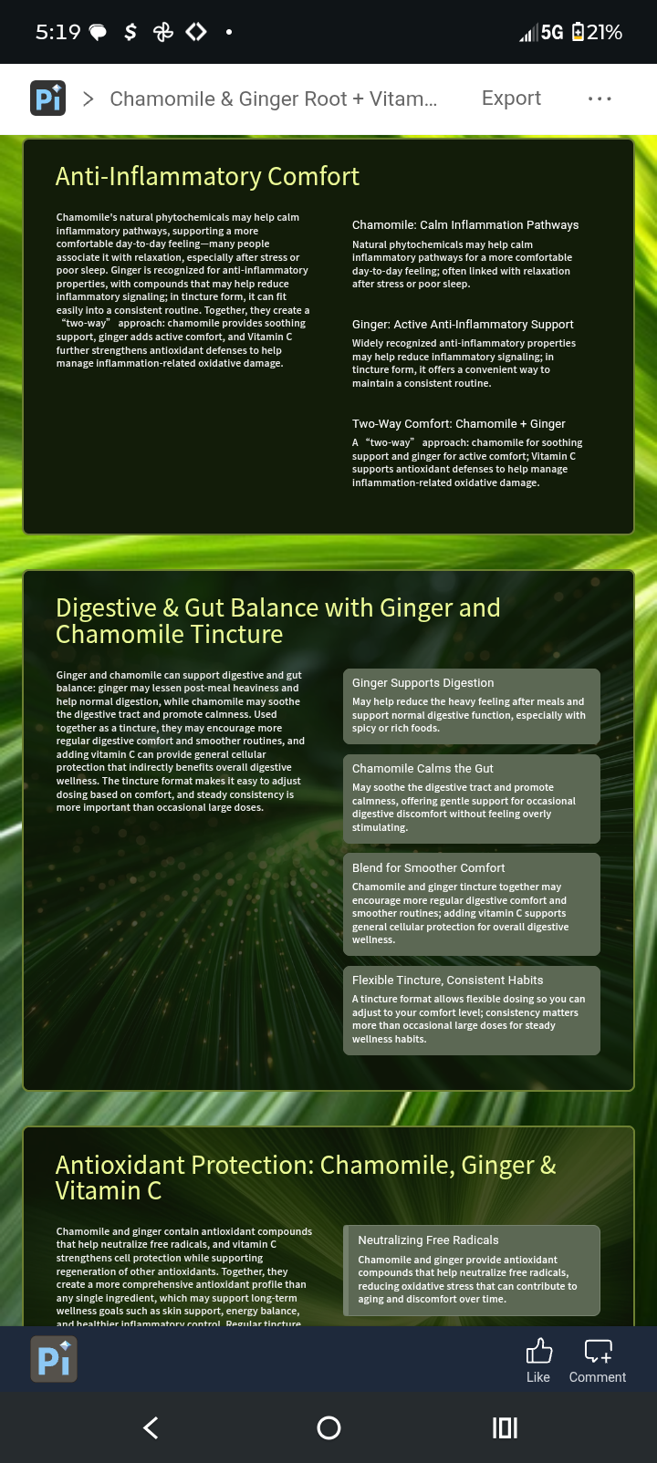 Chamomile+ Ginger Root + Vitamin C Double Extracted Tincture