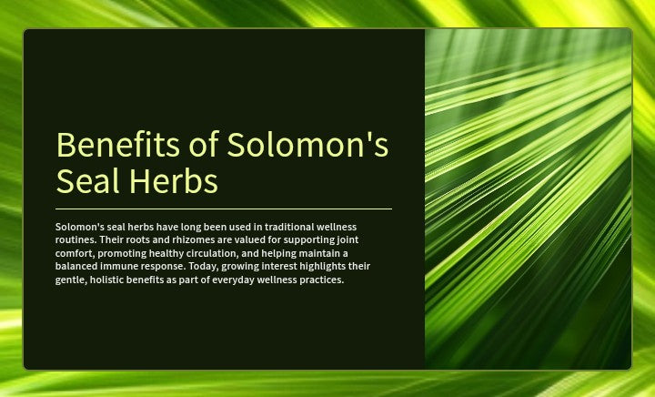 Solomon 's Seal Tincture