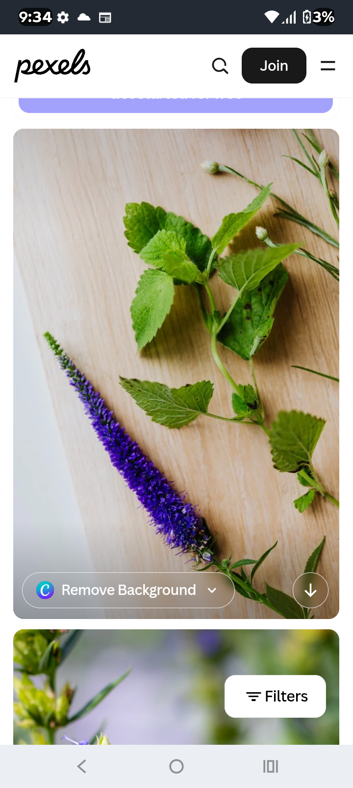 Hyssop Tincture