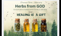 Solomon 's Seal Tincture